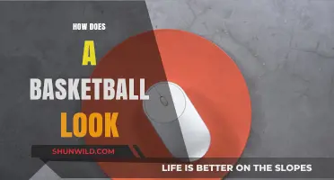 The Evolution of Basketball's Iconic Look