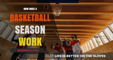 The Basketball Season: A Comprehensive Guide
