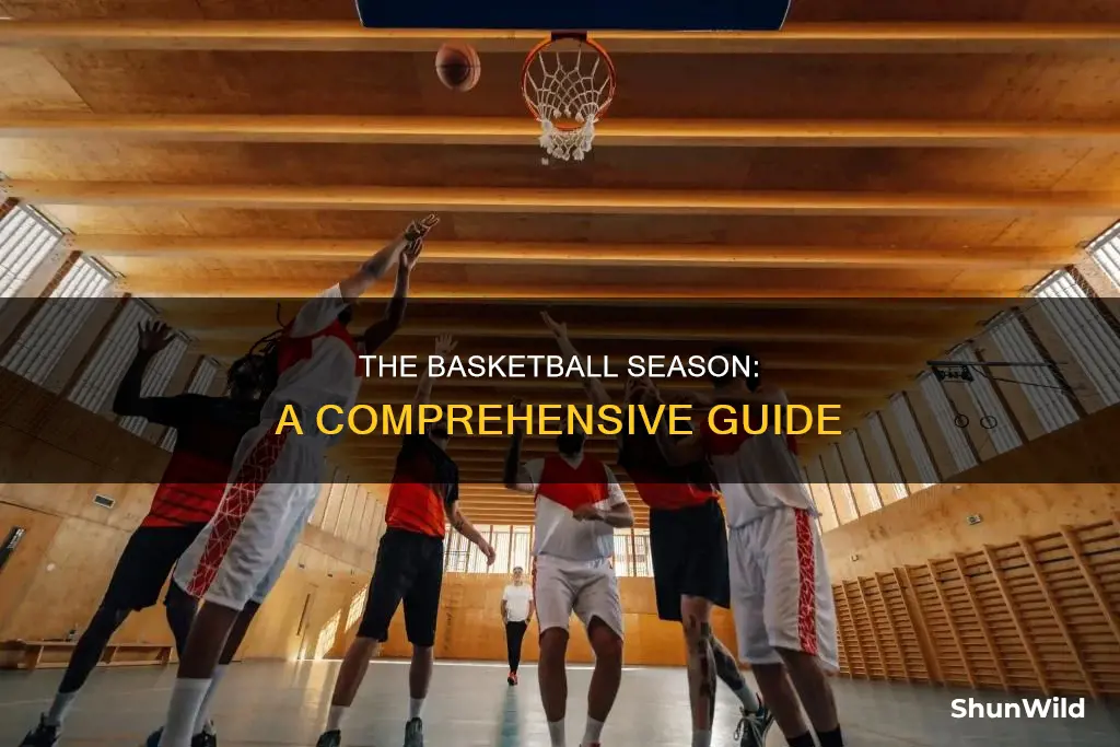 how does a basketball season work