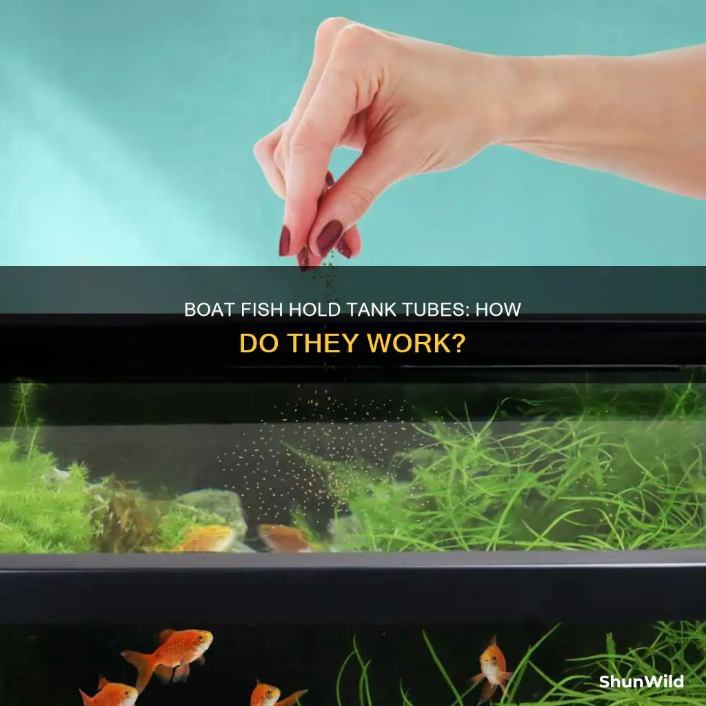 how does a boat fish hold tank tube work
