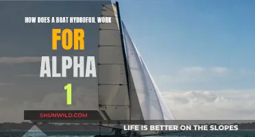 Understanding Hydrofoils: Alpha 1 Boat's Secret to Success