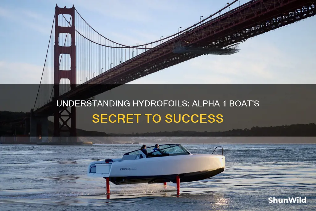how does a boat hydrofoil work for alpha 1