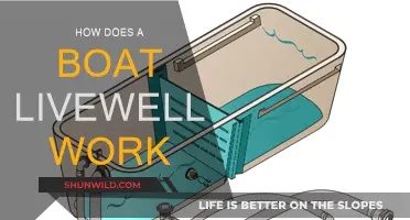 Understanding Boat Livewells: Functionality and Maintenance