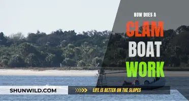 Clam Boat Operations: How Do They Work?