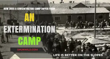 Concentration Camps vs. Extermination Camps: Key Differences Explained