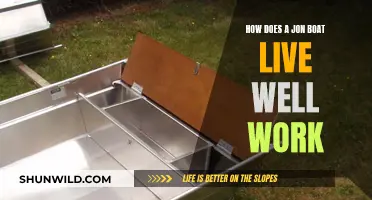 Understanding the Working of Jon Boat Live Wells
