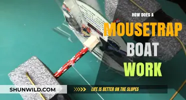 Unraveling the Mechanism: How a Mousetrap Boat Captures Its Prey