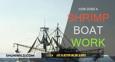 Shrimp Boat Operations: A Guide to Inner Workings