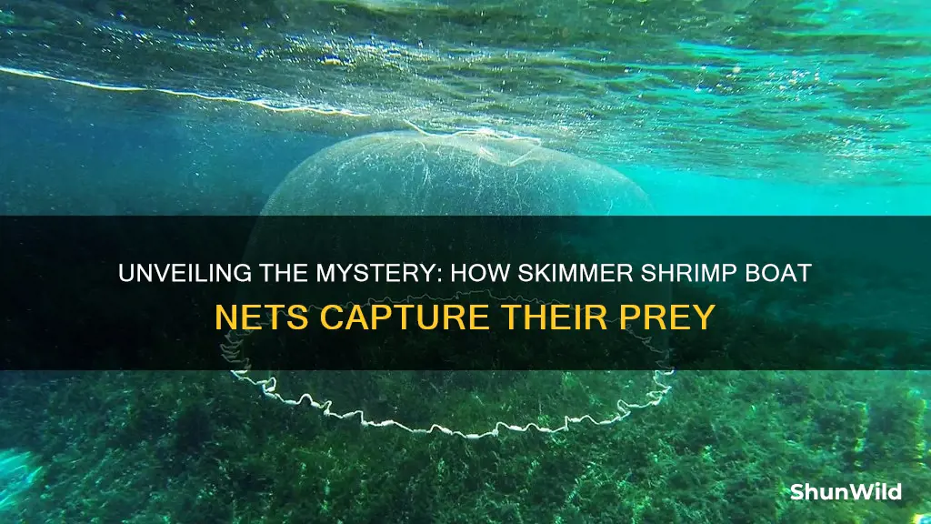 how does a skimmer shrimp boat nets work