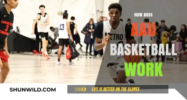Understanding the AAU Basketball System