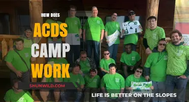 Understanding ACDS Camp: Structure, Activities, and Benefits Explained