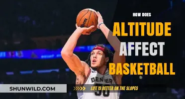 Altitude Advantage: Basketball Performance at High Altitudes