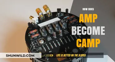 From AMP to cAMP: Unraveling the Molecular Transformation Process