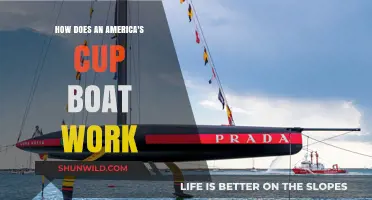 Unveiling the Secrets: How America's Cup Boats Rule the Waves