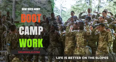 Army Boot Camp Explained: Training, Challenges, and Transformation Process