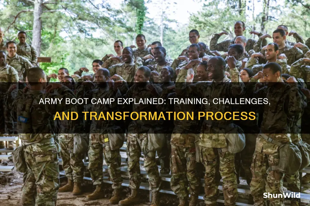 how does army boot camp work