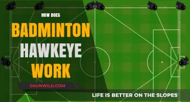 Hawkeye in Badminton: How Does It Work?