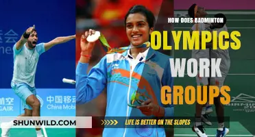 Badminton Olympics: Group Stages Explained