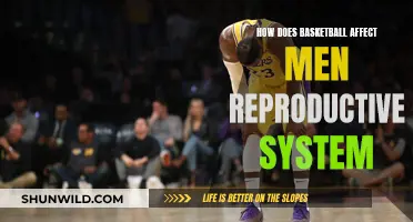 Does Basketball Affect Male Reproductive Health?
