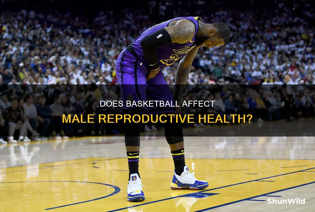 how does basketball affect men reproductive system
