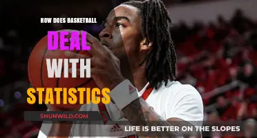 Basketball's Data Dive: Stats Strategies