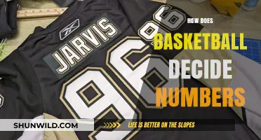 The Art of Numbering in Basketball
