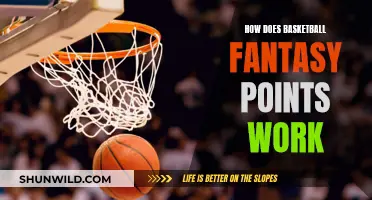 Fantasy Basketball: Understanding the Points System