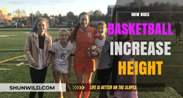 Basketball and Height: Does It Really Make You Taller?