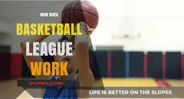 Understanding Basketball League Mechanics