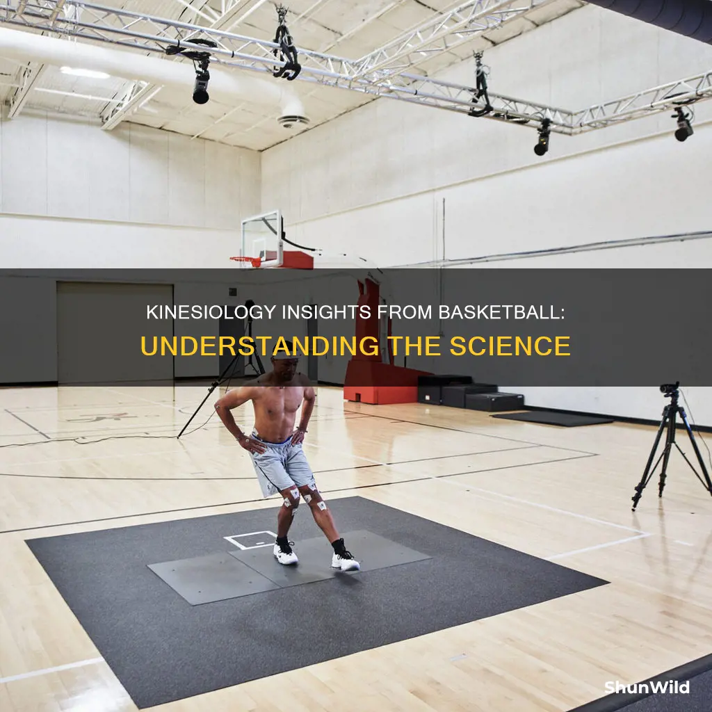 how does basketball relate to kinesiology