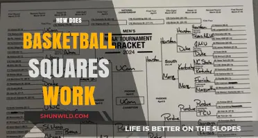 Understanding Basketball Squares: A Beginner's Guide to Playing