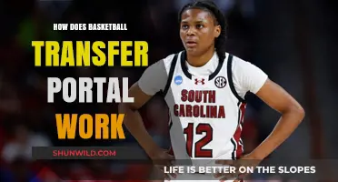 Understanding the Basketball Transfer Portal