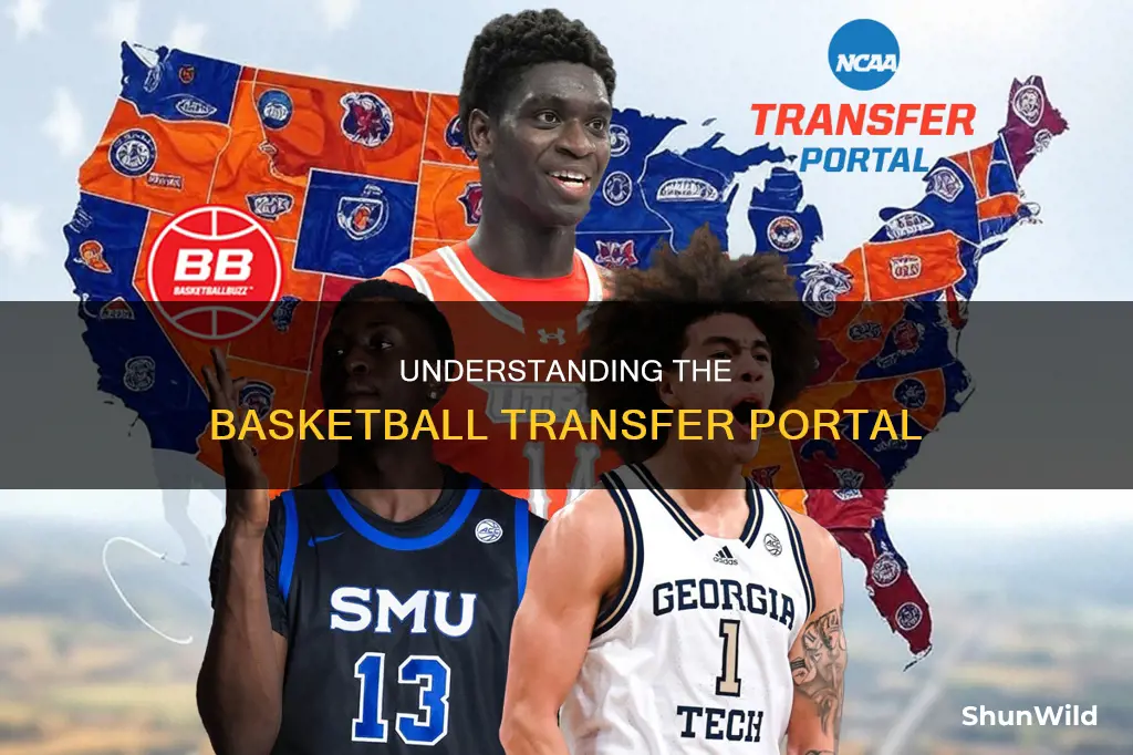 how does basketball transfer portal work