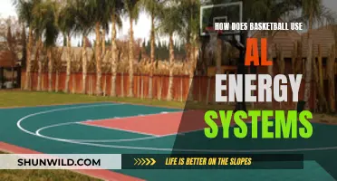 Basketball's Energy Systems: Understanding Athletic Performance