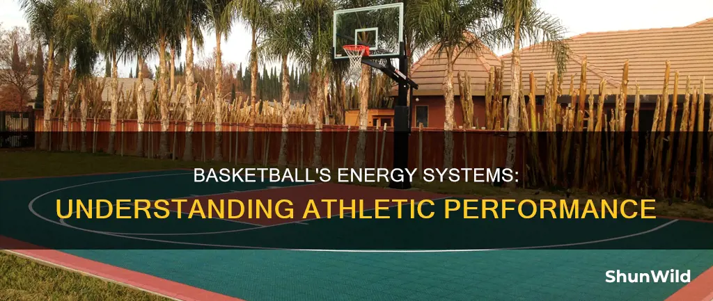 how does basketball use al energy systems