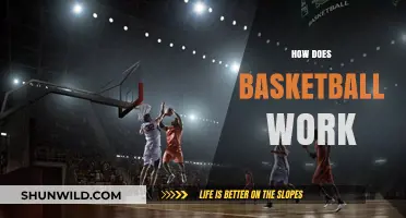 The Fundamentals of Basketball: Rules, Positions, and Strategies