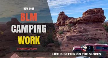 Understanding BLM Camping: Tips, Rules, and How to Get Started