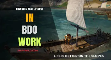 Unraveling BDO's Boat Lifespan: Factors and Secrets Revealed