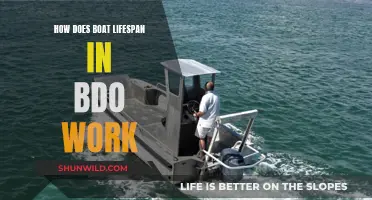Understanding BDO Boat Lifespan Mechanics: A Guide