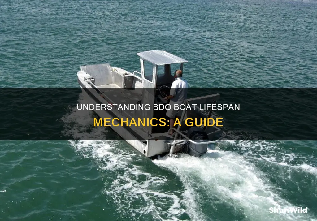 how does boat lifespan in bdo work