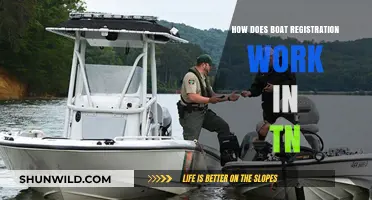 Understanding TN Boat Registration: A Comprehensive Guide