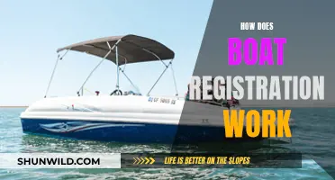 Boat Registration: Understanding the Process and Requirements