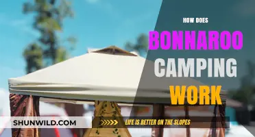 Bonnaroo Camping Guide: Tips, Setup, and Festival Experience Explained