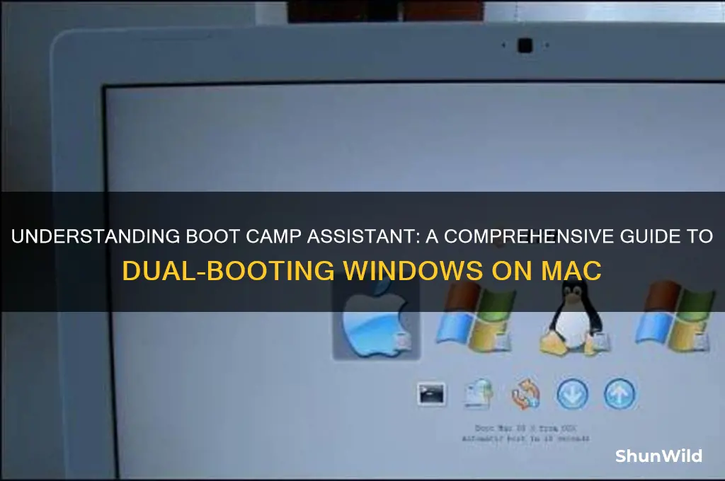 how does boot camp assistant work