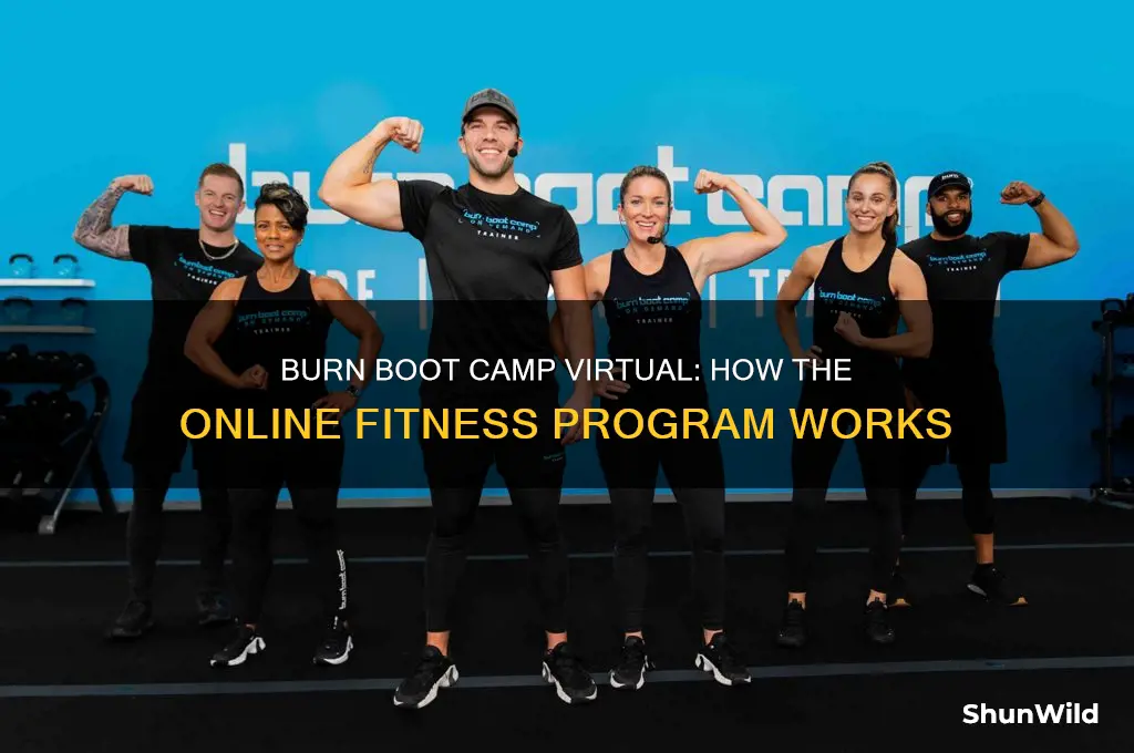 how does burn boot camp virtual work