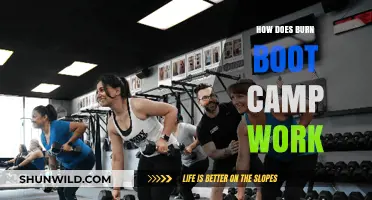Burn Boot Camp Explained: Workouts, Results, and Membership Benefits