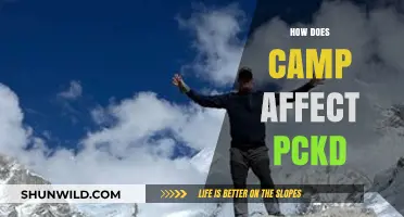 Camp's Impact on PKD: Unraveling the Connection and Potential Effects