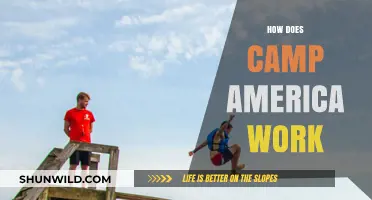 How Camp America Works: A Step-by-Step Guide to Summer Adventures