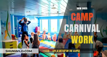How Camp Carnival Works: Fun, Activities, and Family Cruise Experience