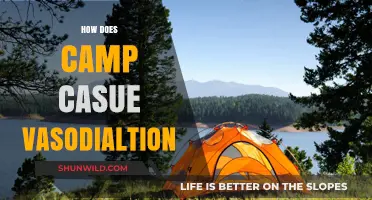 How Camping Triggers Vasodilation: Exploring Nature's Impact on Blood Vessels